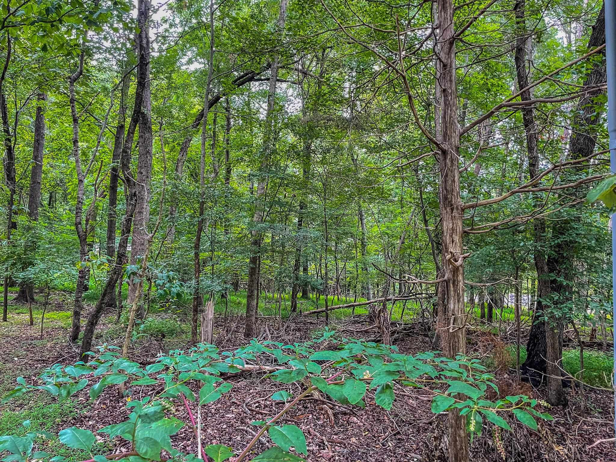 Lot E Amber Road Timberlake, NC 27583 - Photo 13 of 17 Photo 13