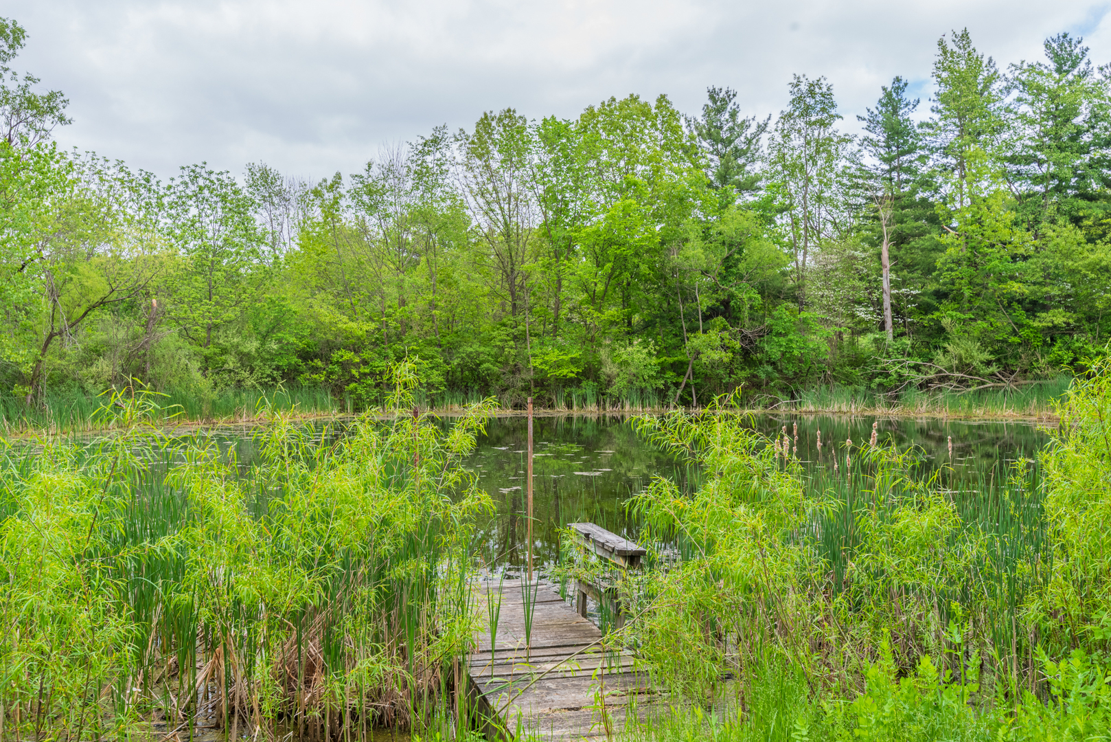 15682 King Road Danvers, IL 61732 - Photo 28 of 31