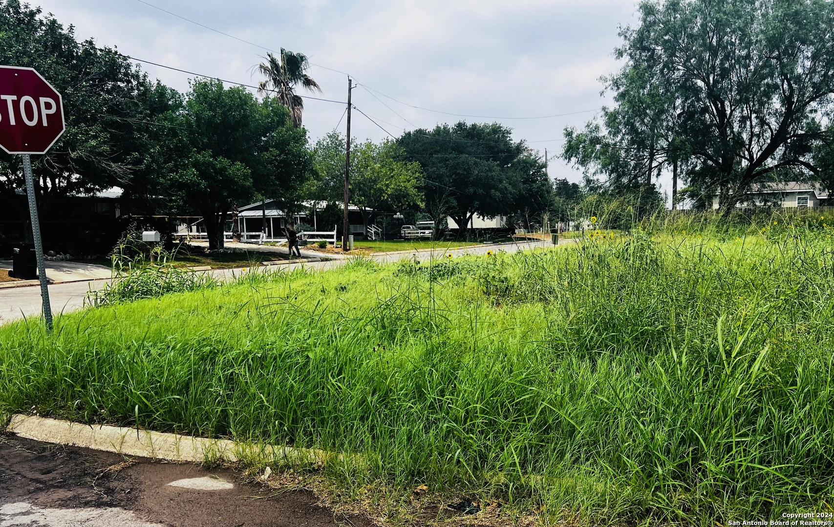 Tbd South Walnut Pearsall, TX 78061 - Photo 4 of 10