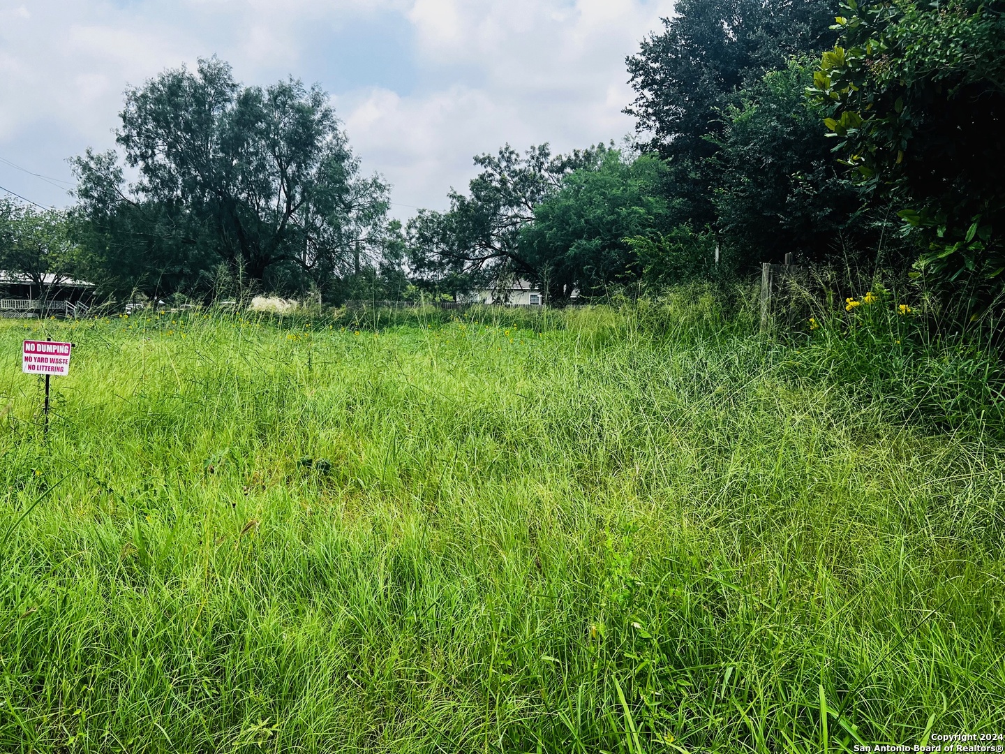 Tbd South Walnut Pearsall, TX 78061 - Photo 5 of 10