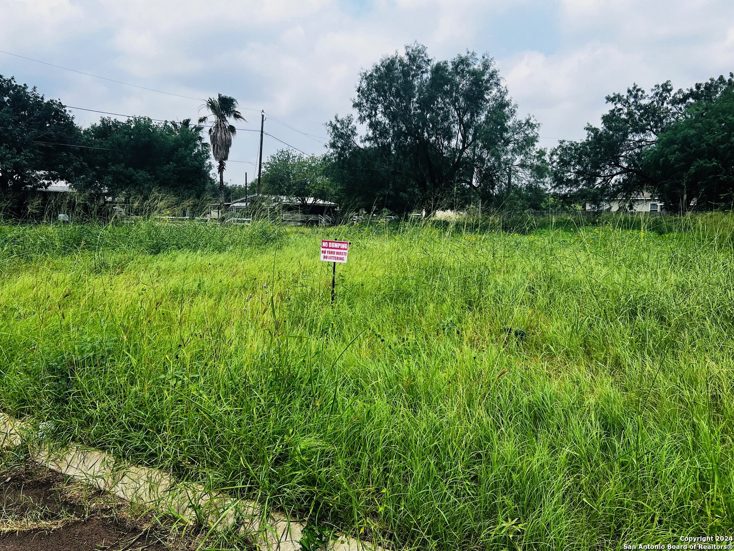 Tbd South Walnut Pearsall, TX 78061 - Photo 7 of 10