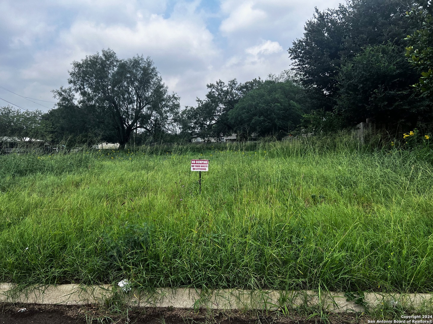 Tbd South Walnut Pearsall, TX 78061 - Photo 8 of 10