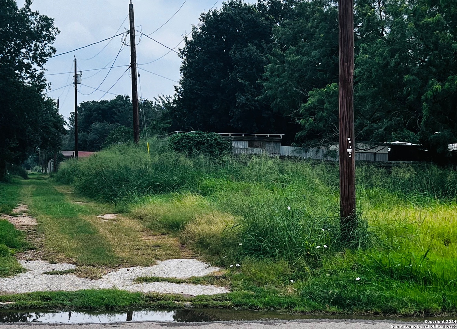 Tbd South Walnut Pearsall, TX 78061 - Photo 10 of 10