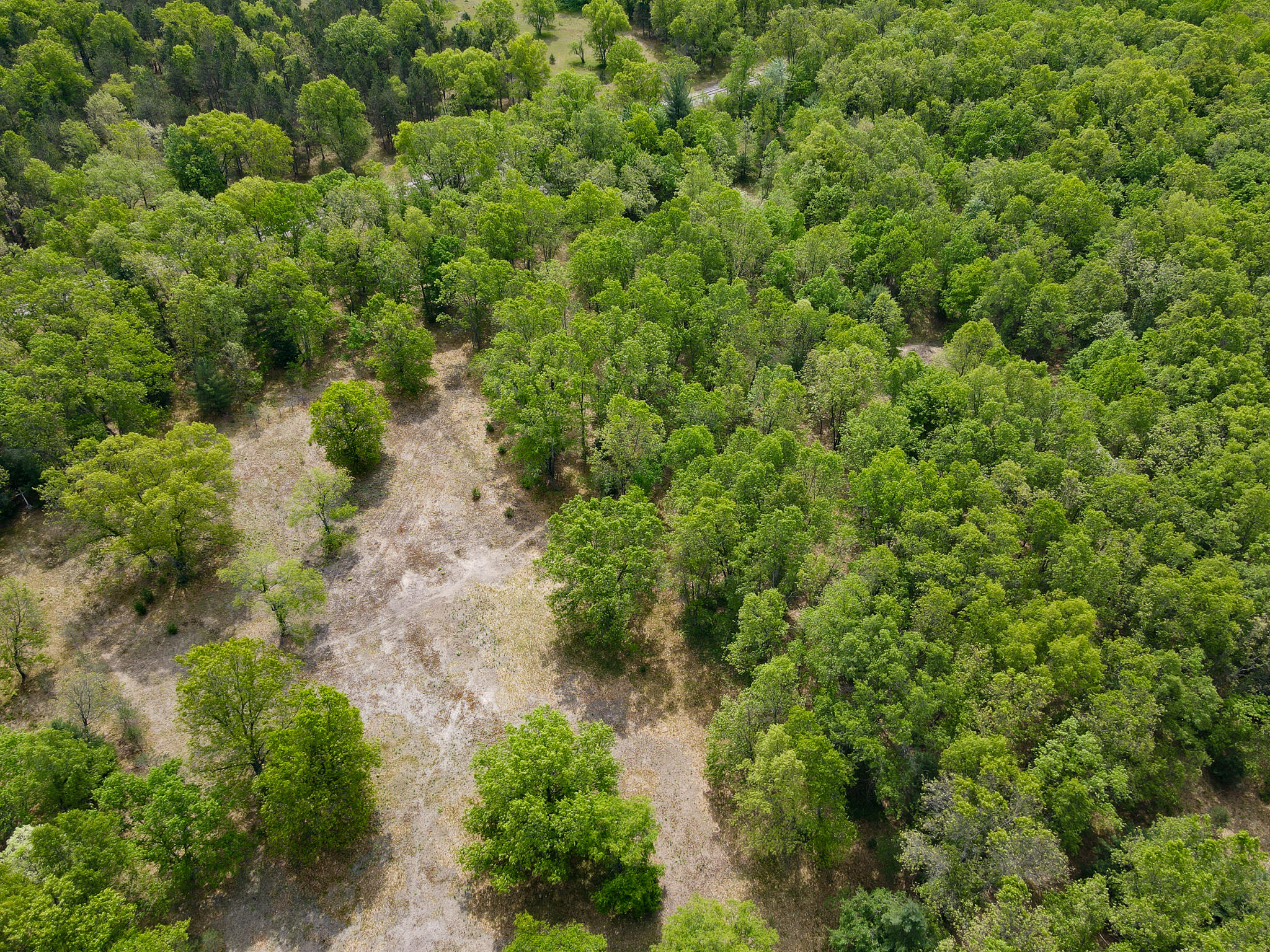 792 North Benson Road Fountain, MI 49410 - Photo 10 of 77 DJI_0474