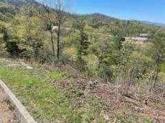 27 Grouse Ridge Lane Sevierville, TN 37862 - Photo 3 of 9