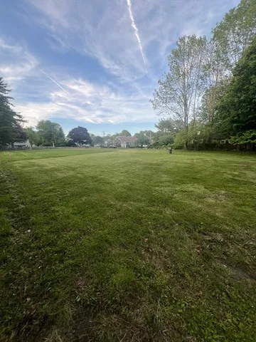 a view of an ocean from a yard