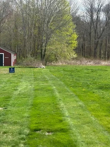 a fire hydrant in the middle of a field