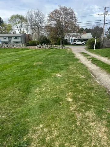 a view of a park with large trees