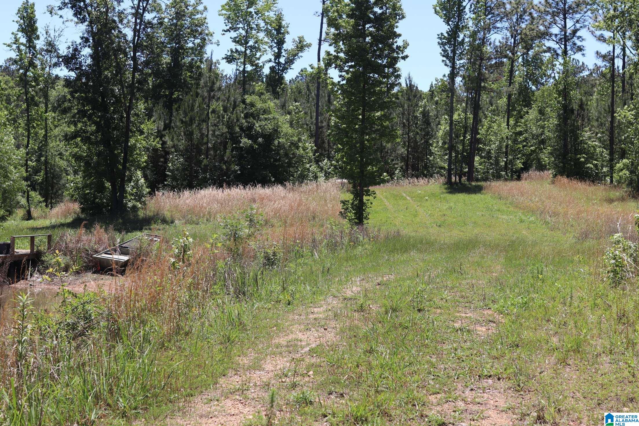2930 Shocco Springs Road Talladega, AL 35160 - Photo 34 of 93