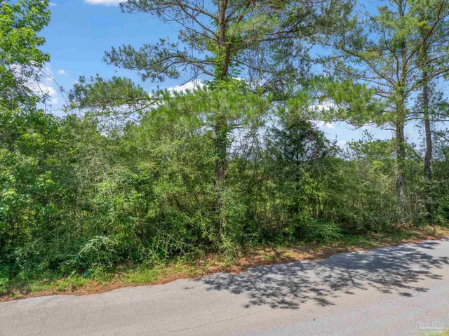 $39,900 | Lot 1 Sid Hayes Road, Jay, FL 32565
