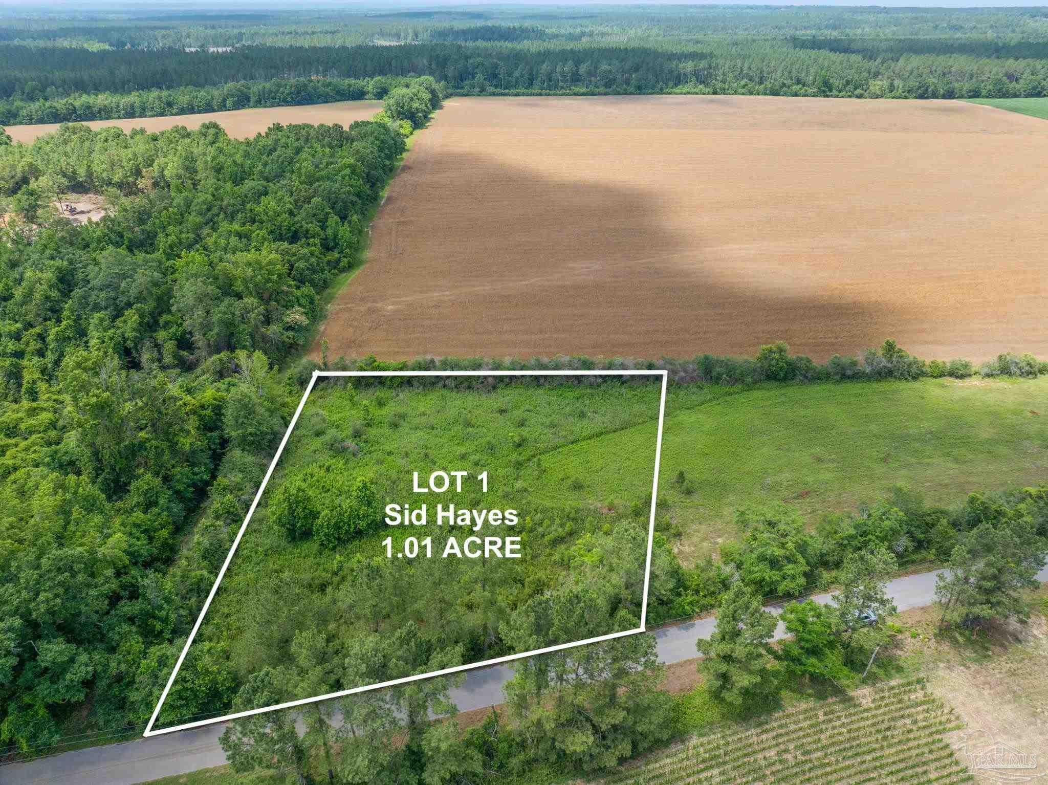 Lot 1 Sid Hayes Road Jay, FL 32565 - Photo 2 of 4