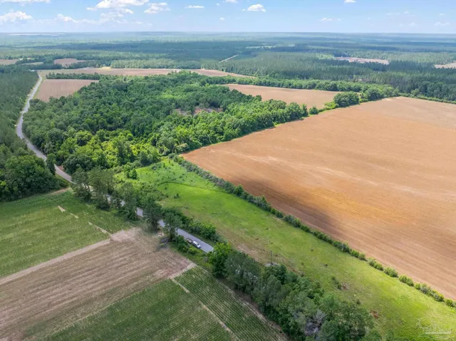 $39,900 | Lot 1 Sid Hayes Road, Jay, FL 32565