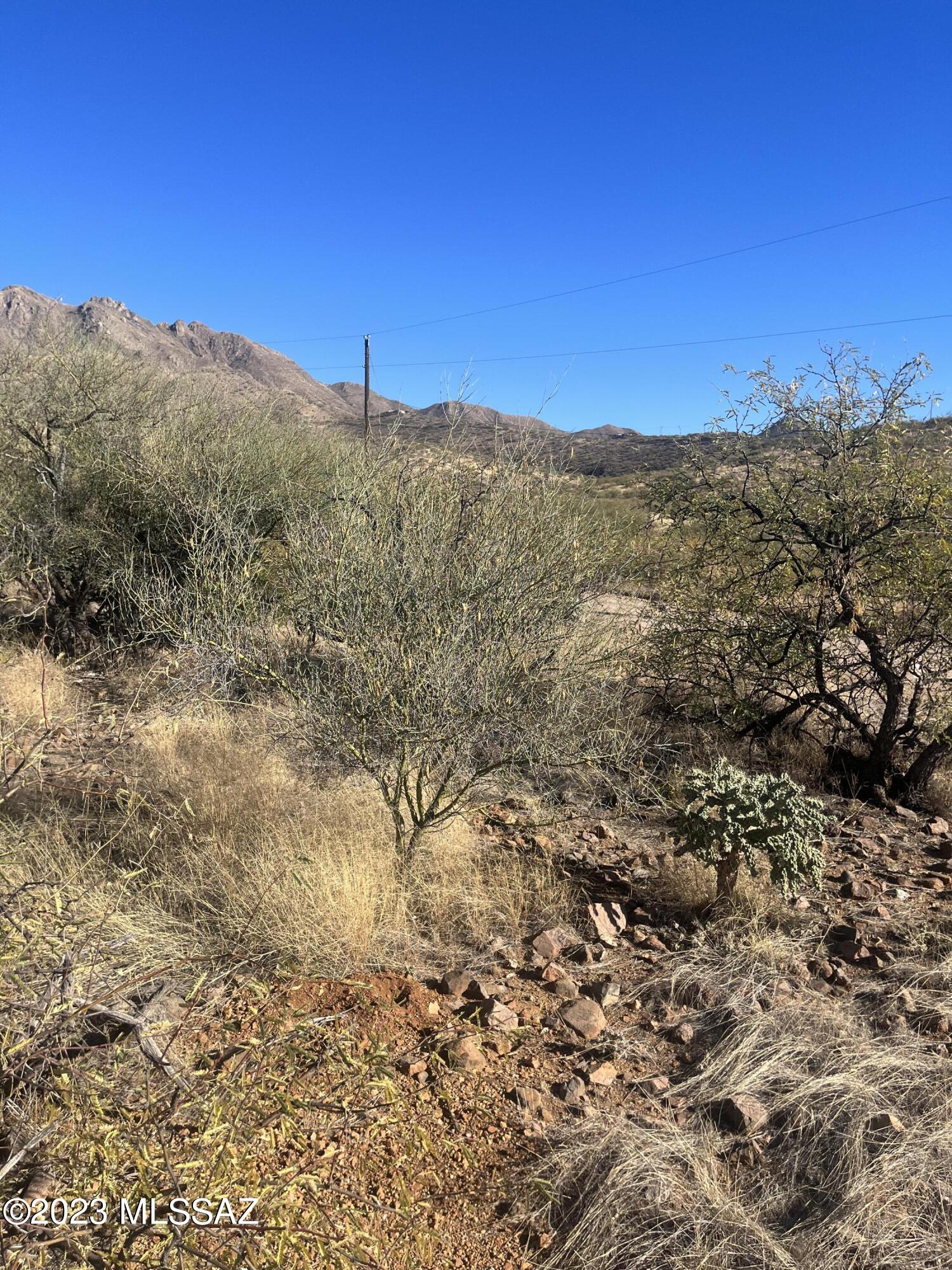 200 Calle Pulpo, Unit 36 Rio Rico, AZ 85648 - Photo 3 of 4