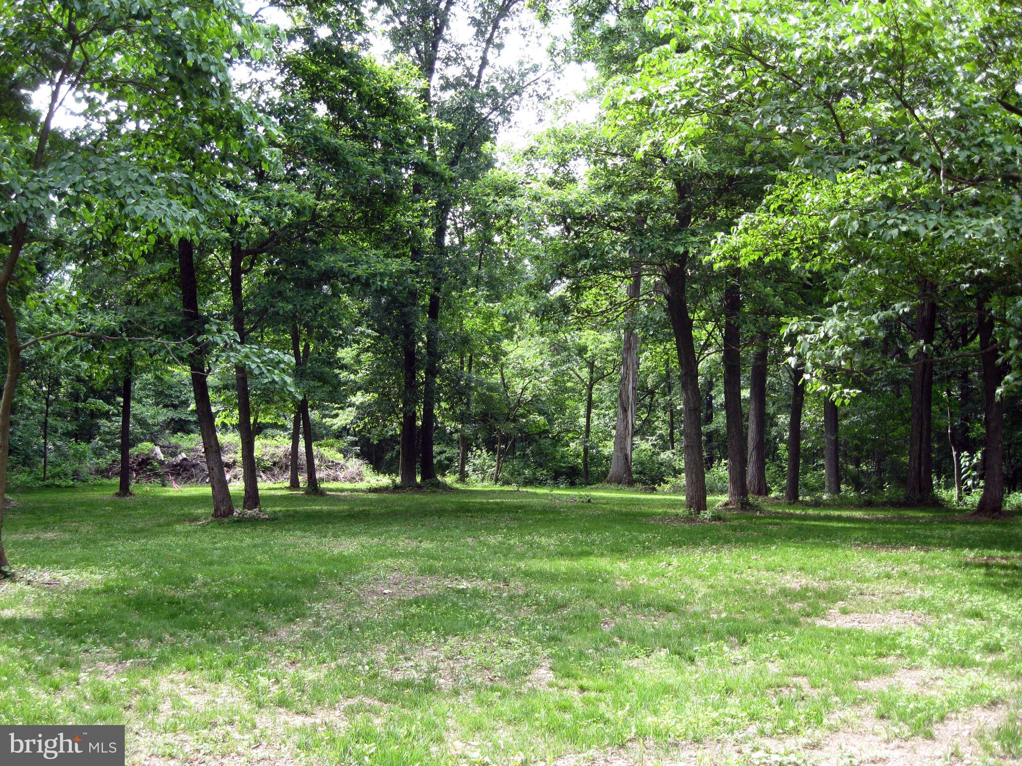 3413 Flint Hill Road Adamstown, MD 21710 - Photo 10 of 13 Gallery Image 10