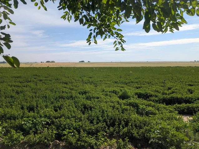 $615,000 | 0 Lower Pleasant Ridge Road, Wilder, ID 83676