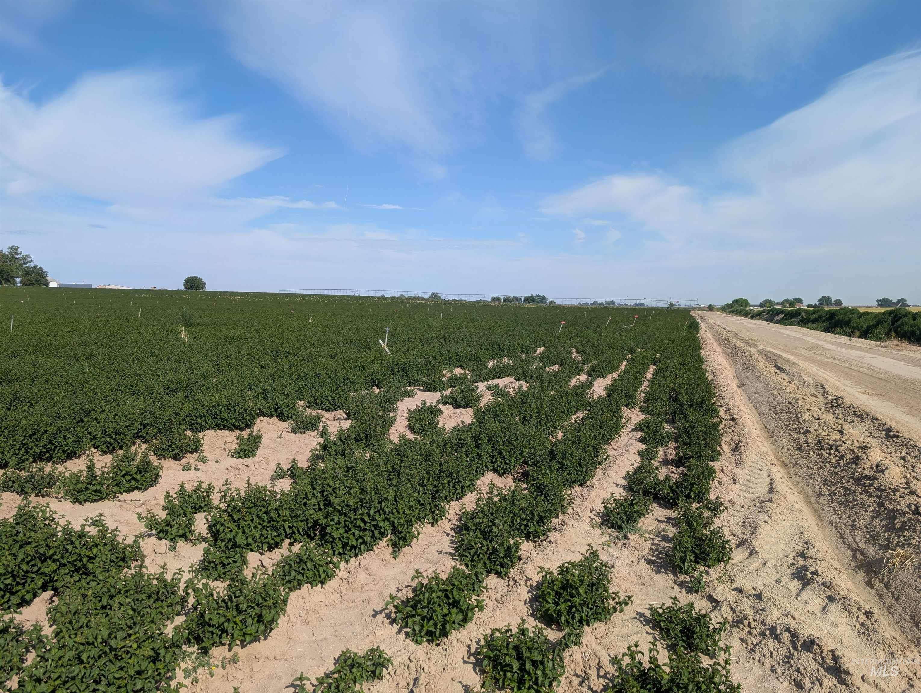 0 Lower Pleasant Ridge Road Wilder, ID 83676 - Photo 2 of 7 View of dirt / gravel road with a view of countryside