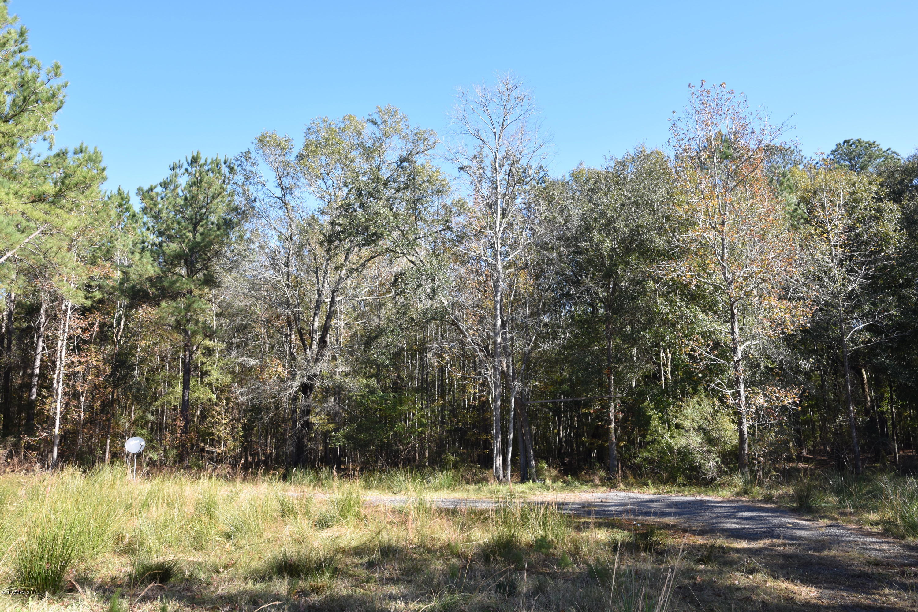14 Pine Arbor Road Hardeeville, SC 29927 - Photo 2 of 6 DSC_0867