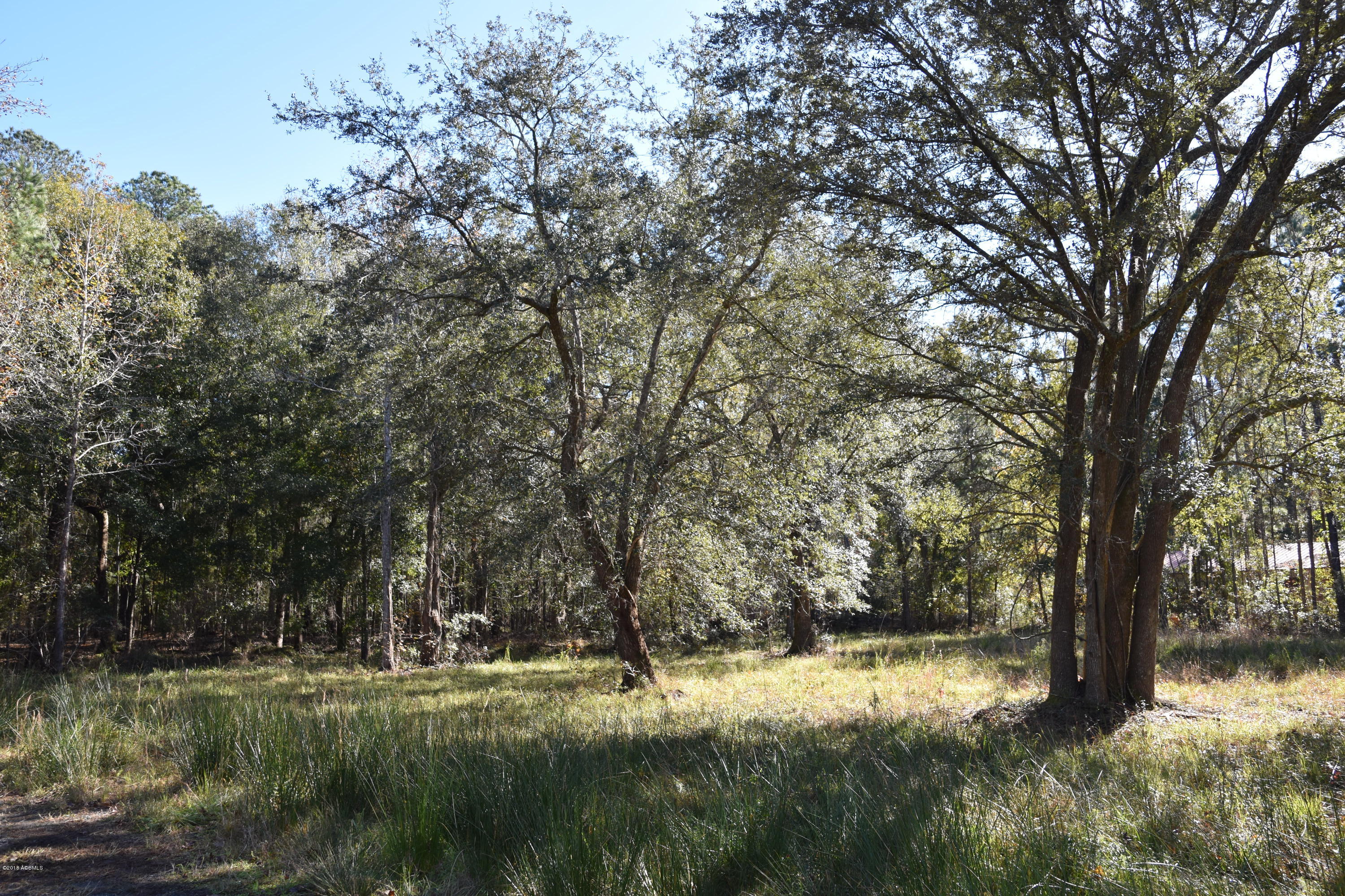 14 Pine Arbor Road Hardeeville, SC 29927 - Photo 3 of 6 DSC_0869