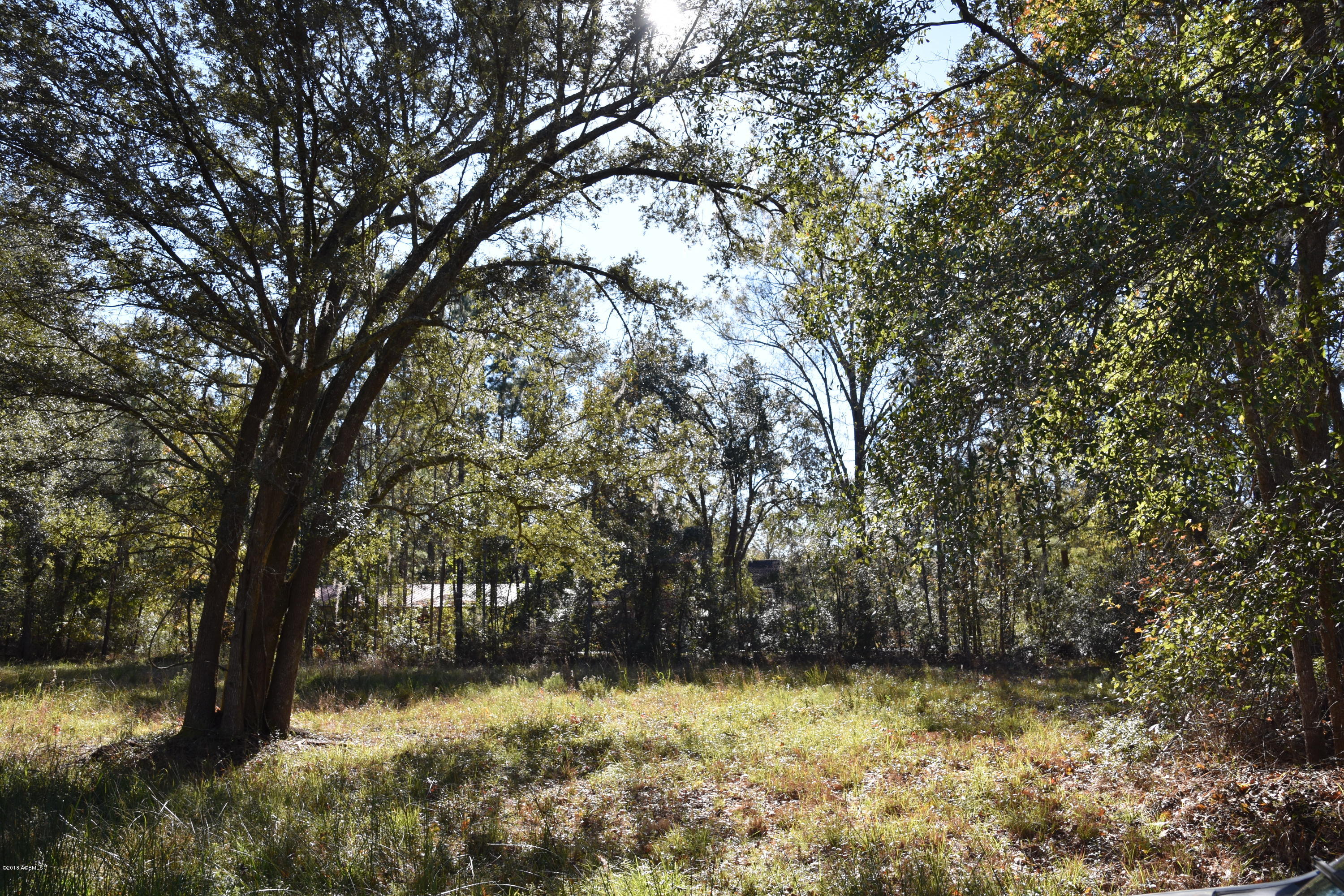 14 Pine Arbor Road Hardeeville, SC 29927 - Photo 4 of 6 DSC_0870