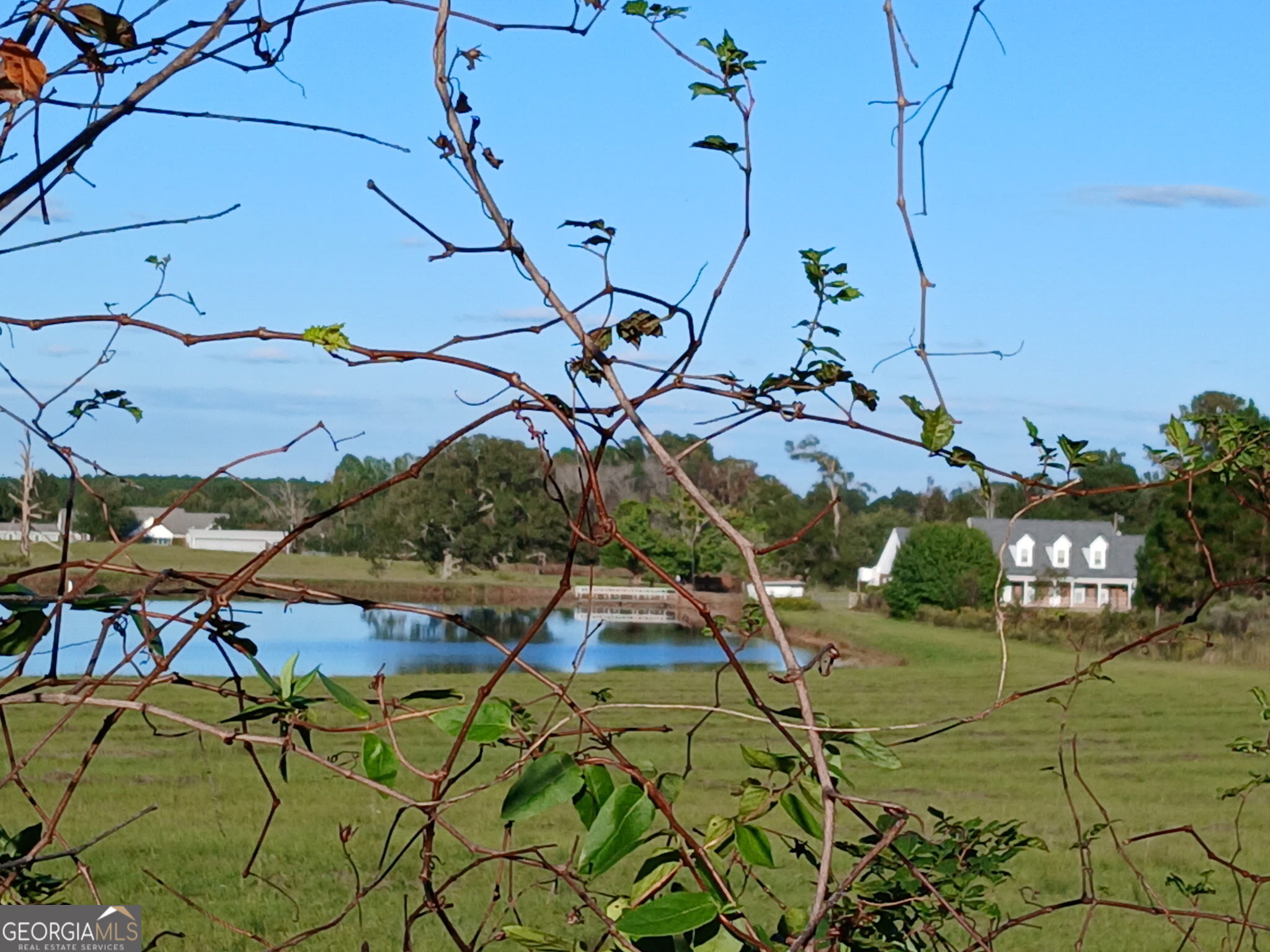 238 Wilson Woodard Road Eastman, GA 31023 - Photo 103 of 107