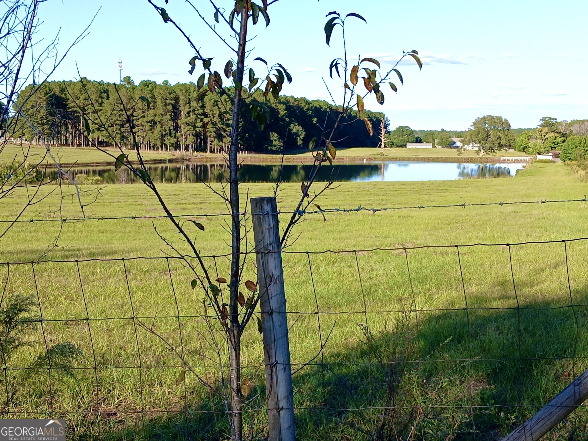 238 Wilson Woodard Road Eastman, GA 31023 - Photo 104 of 107