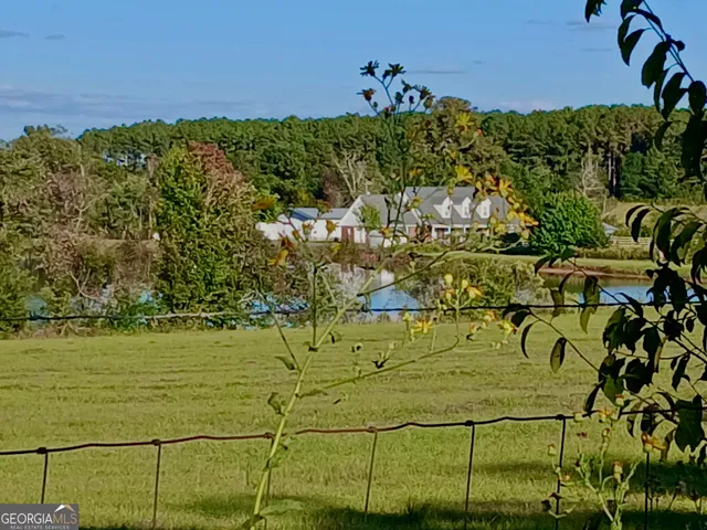 $525,000 | 238 Wilson Woodard Road, Eastman, GA 31023