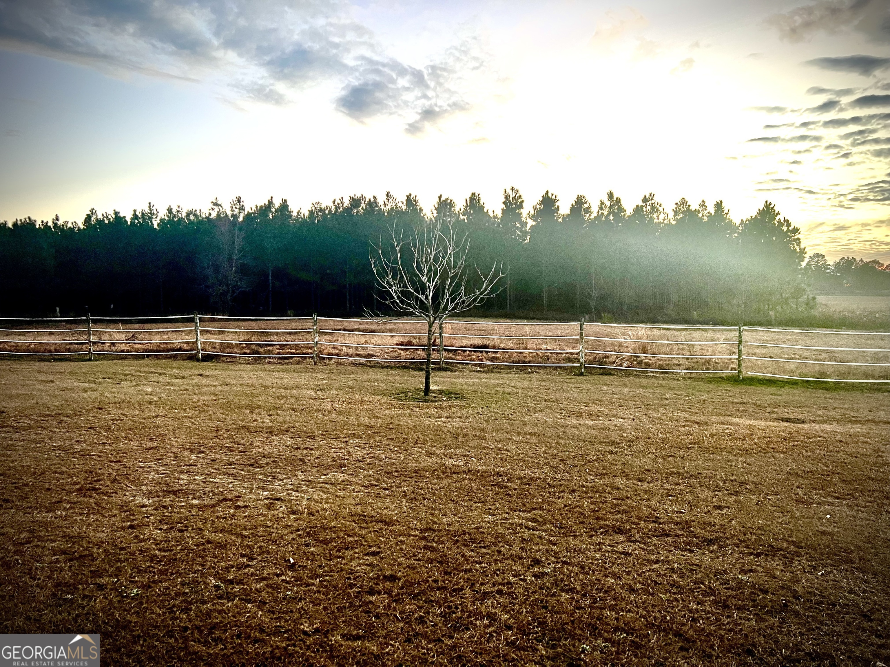 238 Wilson Woodard Road Eastman, GA 31023 - Photo 15 of 107