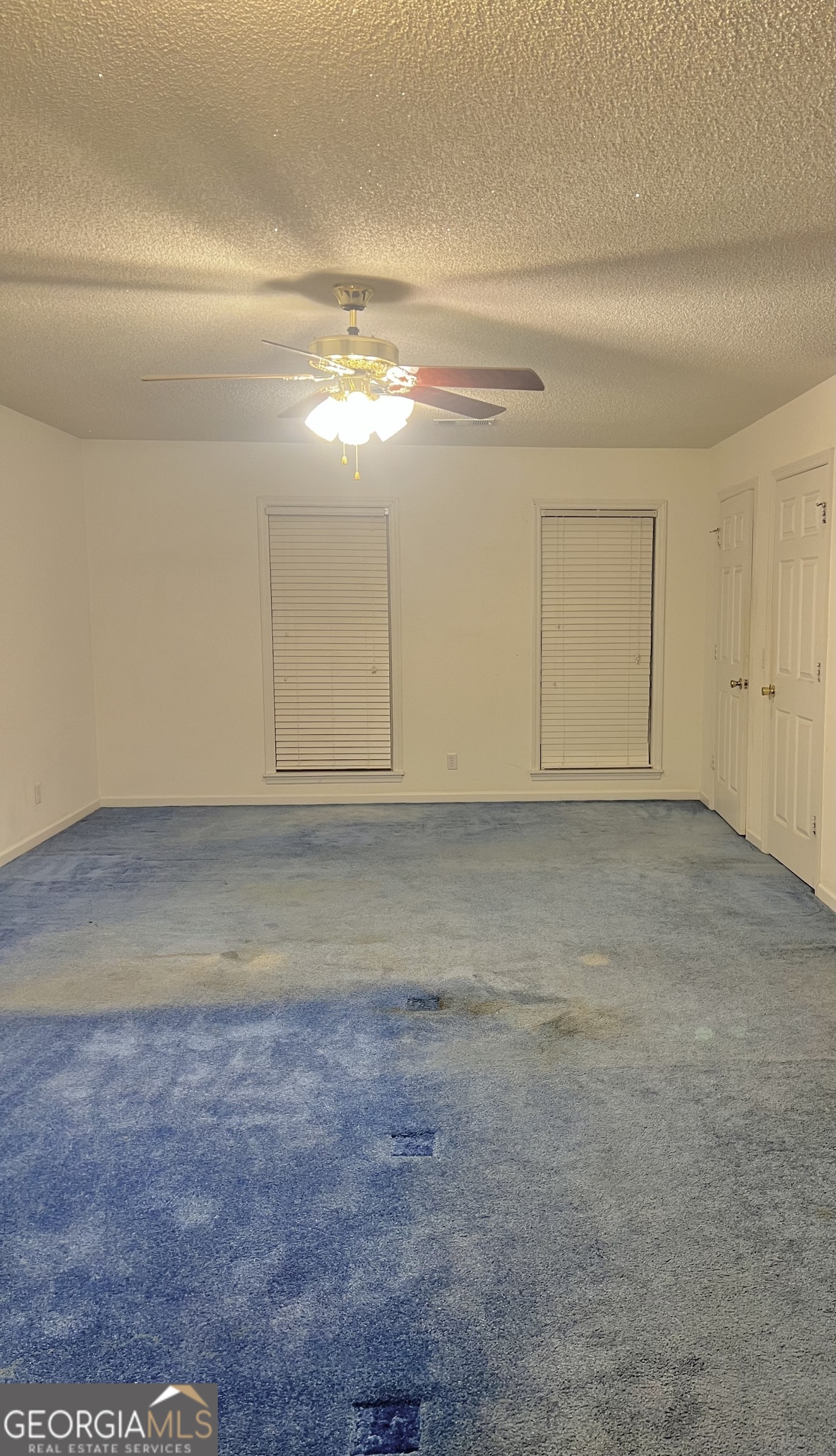 238 Wilson Woodard Road Eastman, GA 31023 - Photo 55 of 107