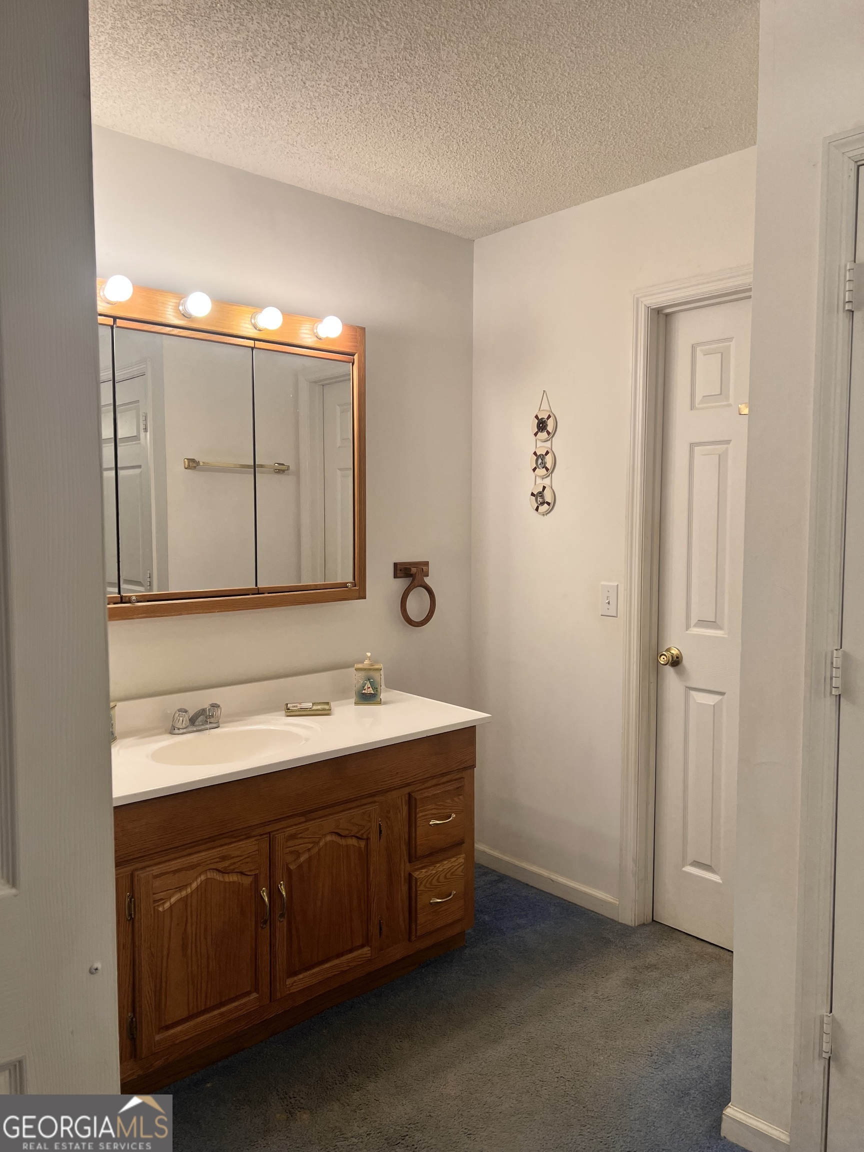 238 Wilson Woodard Road Eastman, GA 31023 - Photo 58 of 107 Master Bath