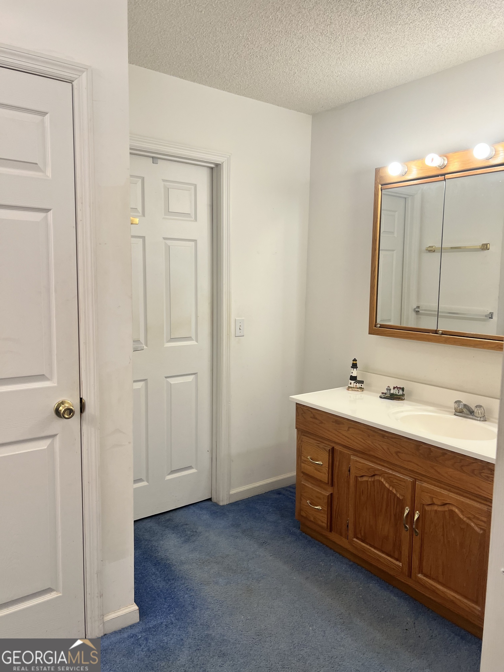 238 Wilson Woodard Road Eastman, GA 31023 - Photo 59 of 107 Master Bath