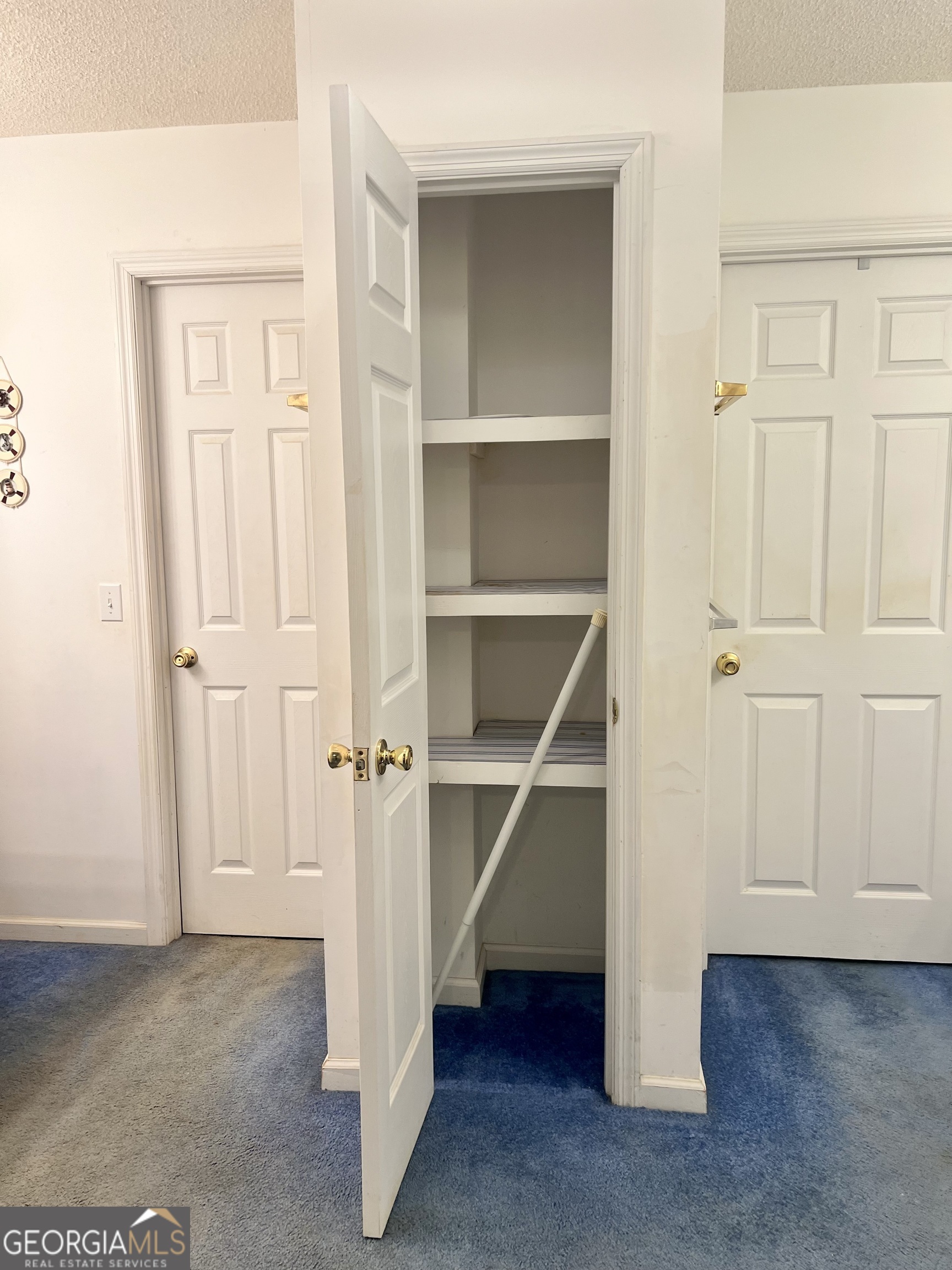 238 Wilson Woodard Road Eastman, GA 31023 - Photo 60 of 107 Closet