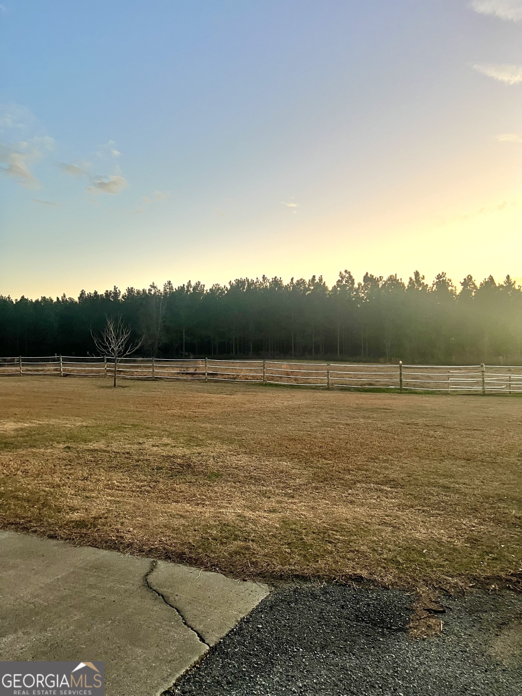 238 Wilson Woodard Road Eastman, GA 31023 - Photo 6 of 107