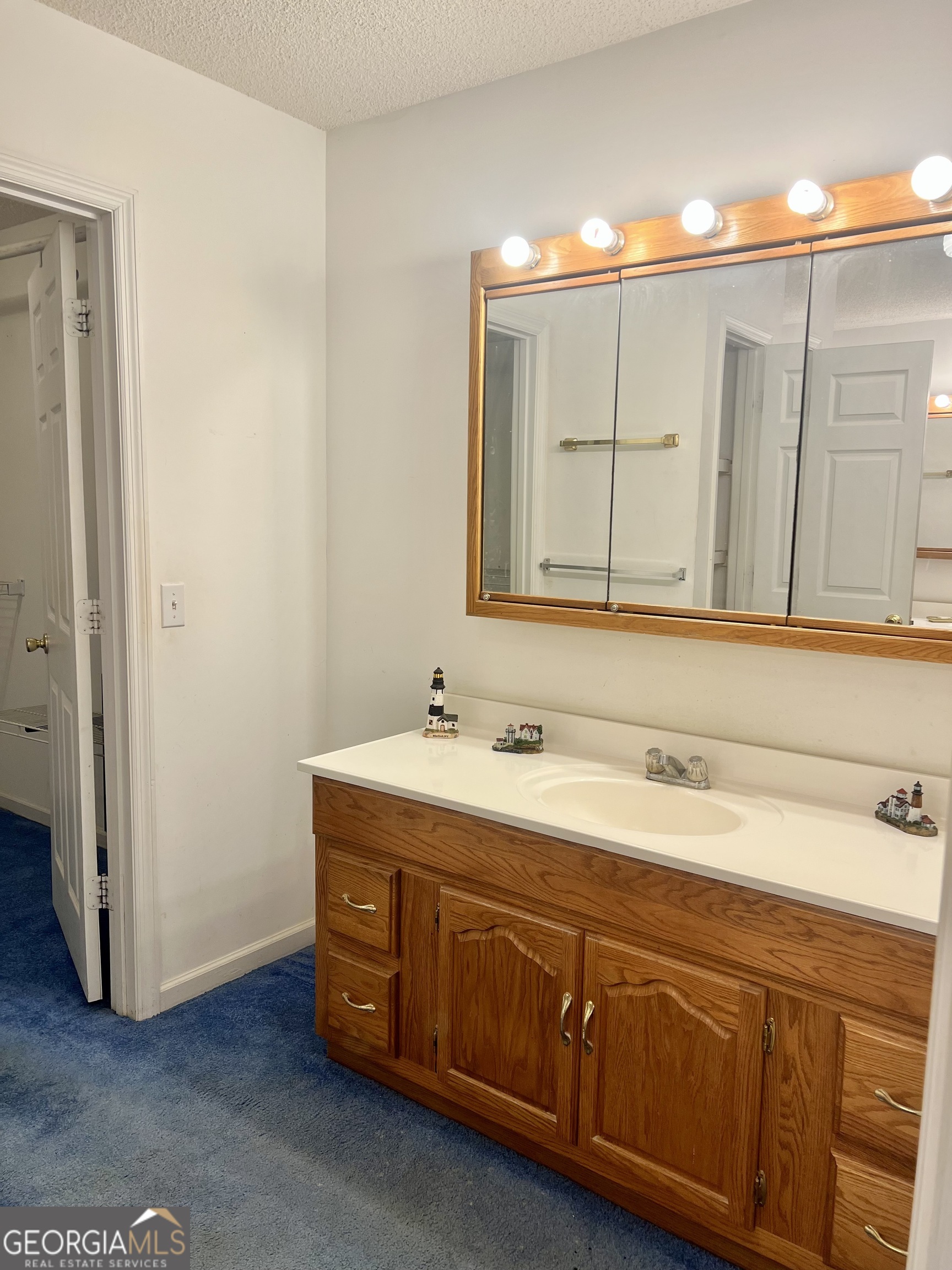 238 Wilson Woodard Road Eastman, GA 31023 - Photo 65 of 107