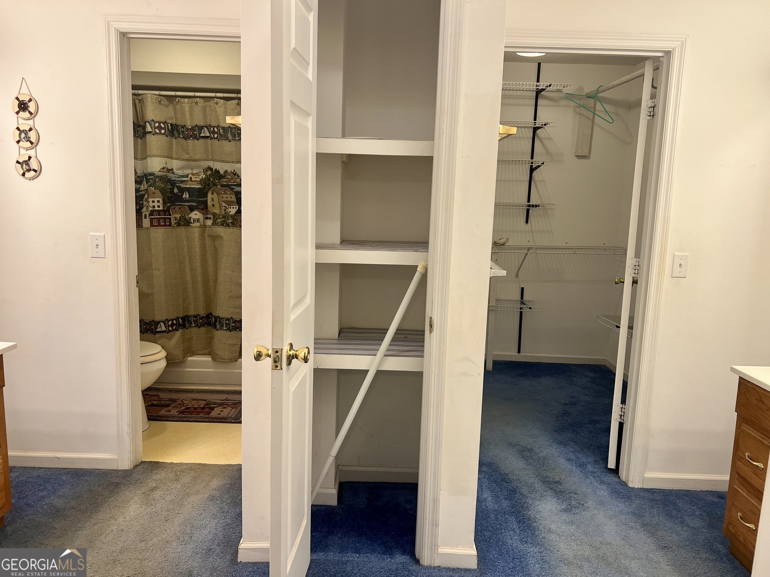 238 Wilson Woodard Road Eastman, GA 31023 - Photo 66 of 107