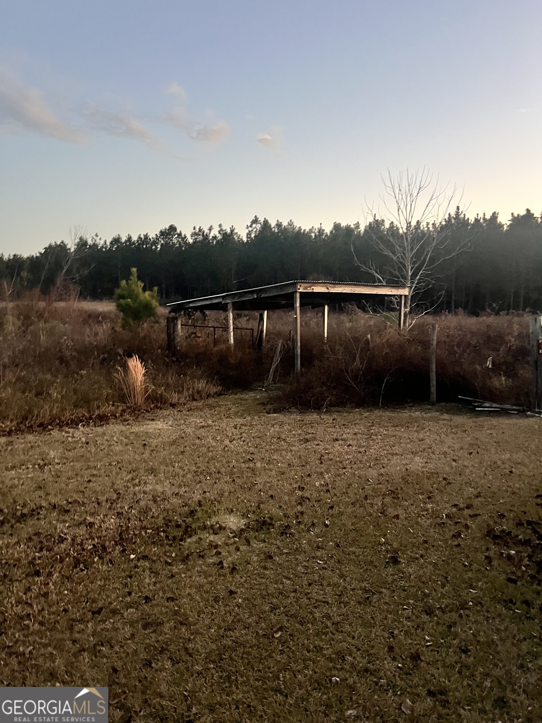 238 Wilson Woodard Road Eastman, GA 31023 - Photo 7 of 107