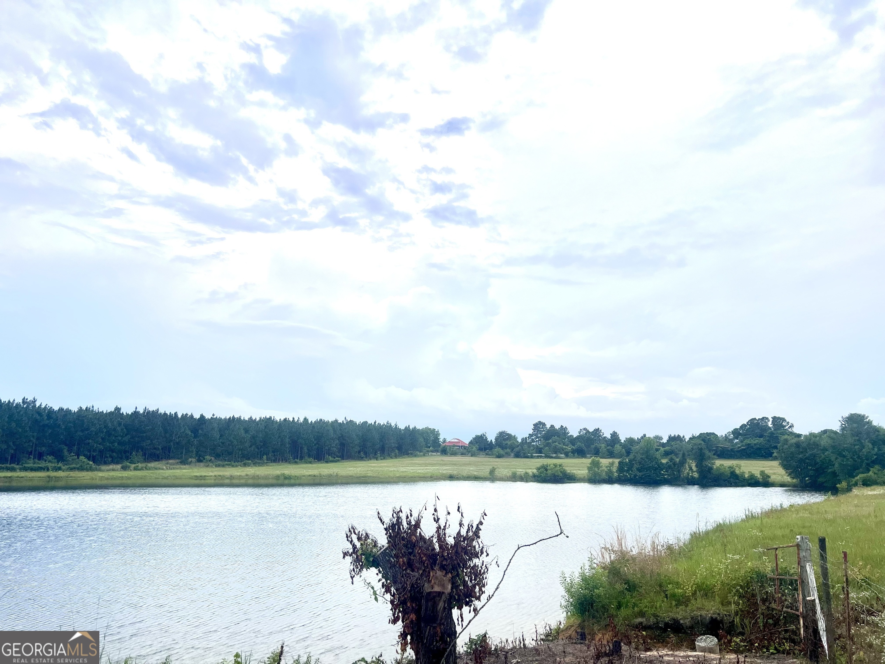 238 Wilson Woodard Road Eastman, GA 31023 - Photo 93 of 107