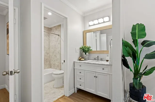 a bathroom with a granite countertop sink a potted plant a toilet and a shower