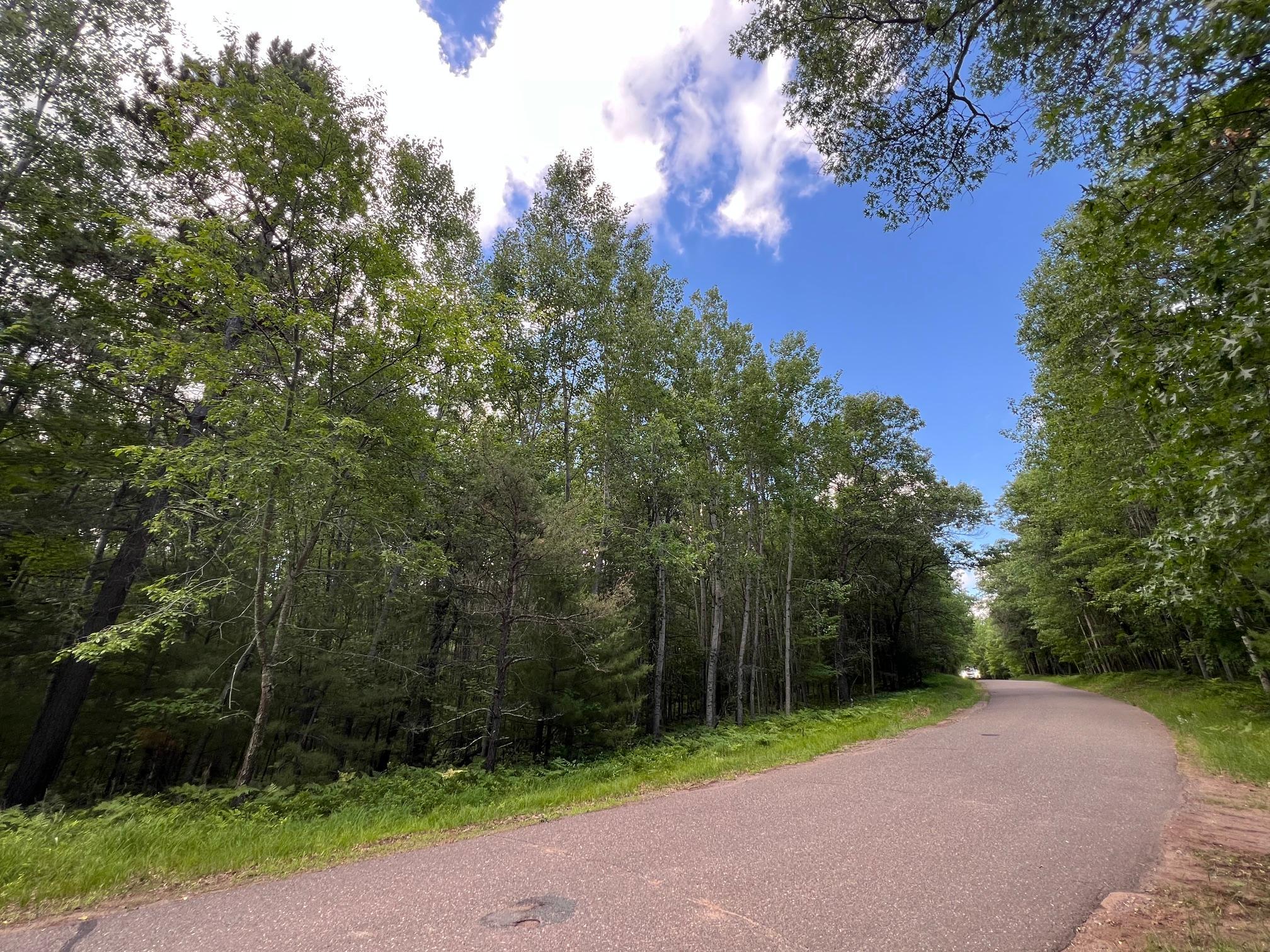 Lot 14 Loon Lake Road Danbury, WI 54830 - Photo 8 of 16