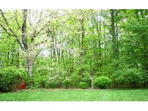 910 North Park Ridge Road Bloomington, IN 47408 - Photo 16 of 16