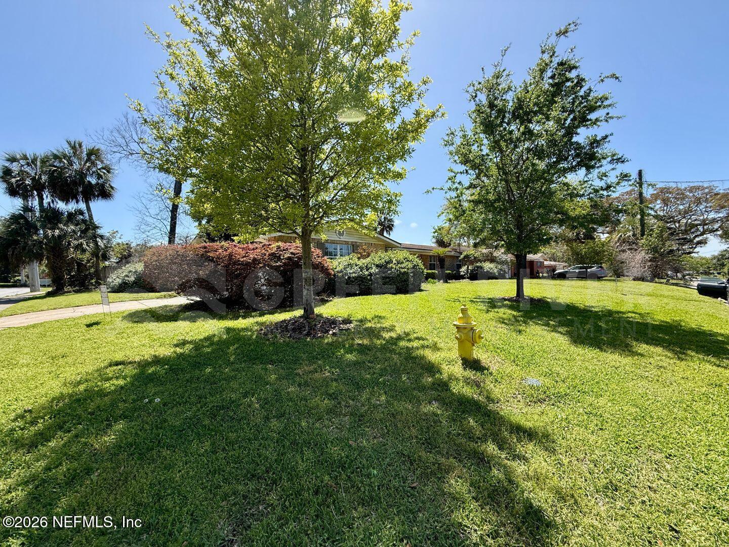 2 Fairway Road Jacksonville Beach, FL 32250 - Photo 5 of 39 a view of a park with large trees