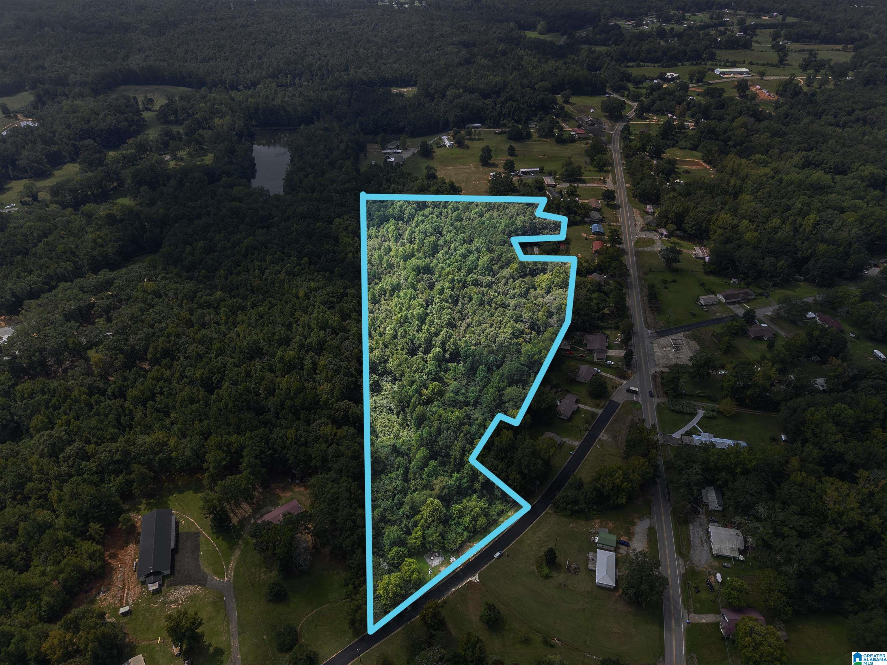 0 Sycamore Street, Unit 1 Jemison, AL 35085 - Photo 21 of 25