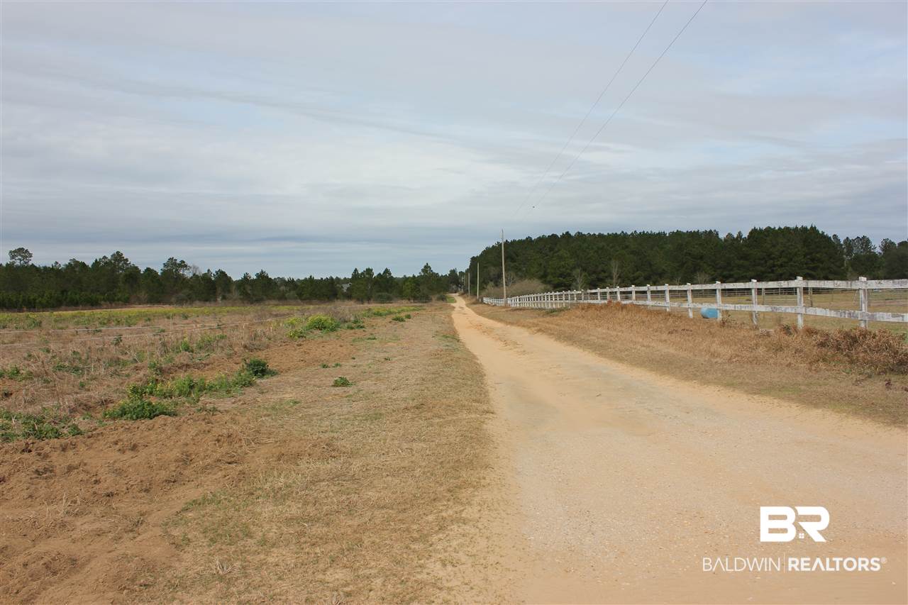 10 County Road 32 Elberta, AL 36530 - Photo 6 of 7
