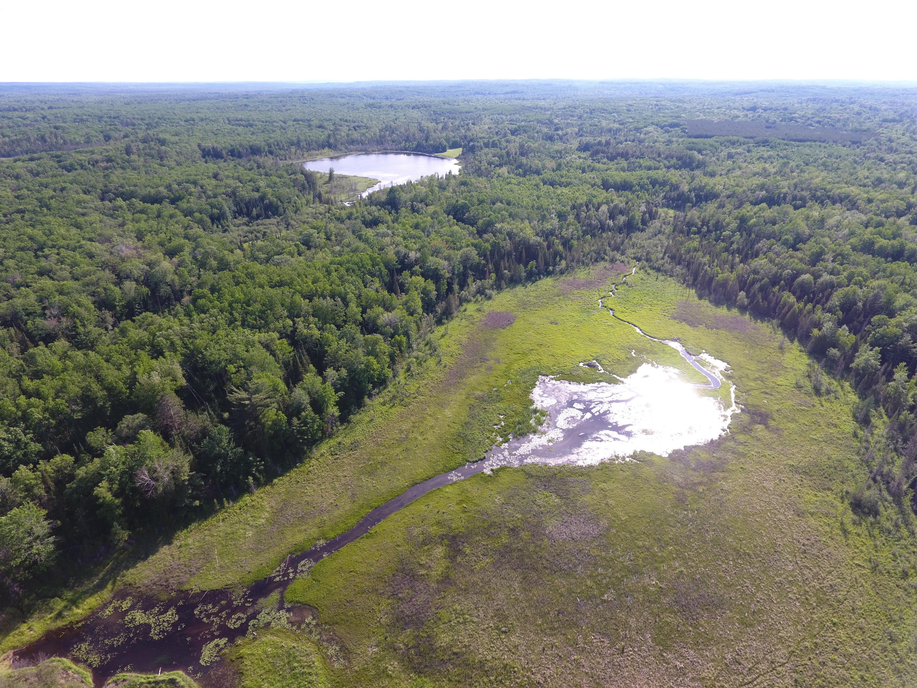 7158 East County Line Road South Branch, MI 48761 - Photo 38 of 39 Gallery Image 38