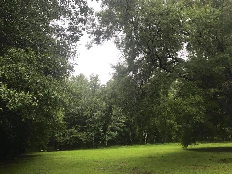 Tbd South Bankston Road South Albany, LA 70711 - Photo 1 of 4 Gallery Image 1