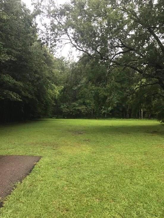 Tbd South Bankston Road South Albany, LA 70711 - Photo 2 of 4 Gallery Image 2