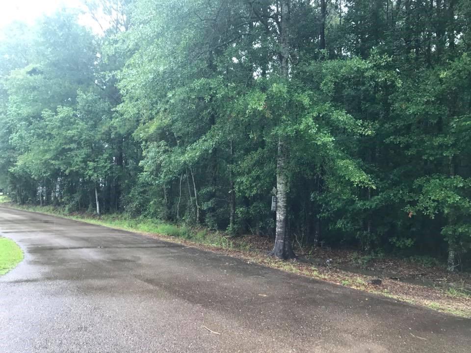 Tbd South Bankston Road South Albany, LA 70711 - Photo 3 of 4 Gallery Image 3