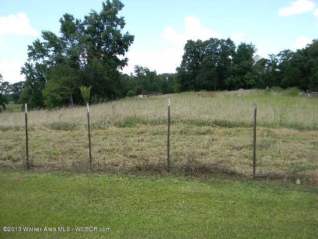 722 Prospect Road Nauvoo, AL 35578 - Photo 12 of 13 Gallery Image 12