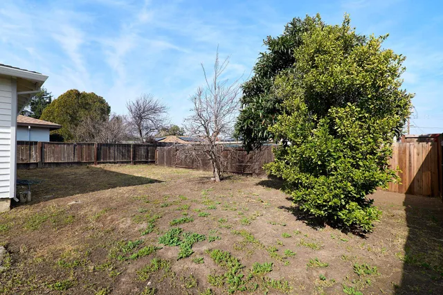a view of a backyard