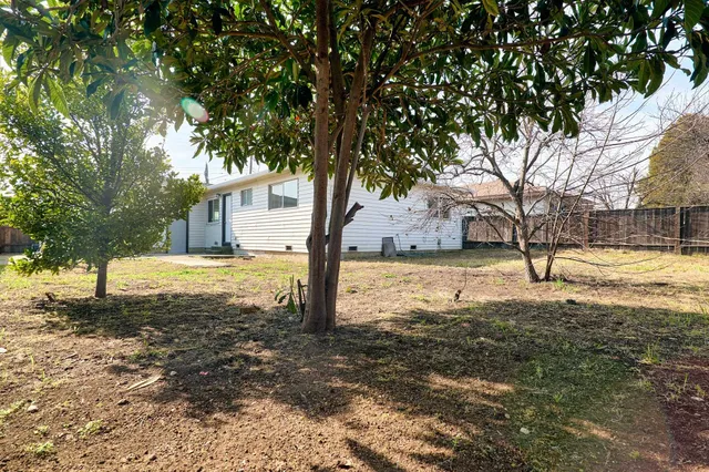 a view of a yard with a tree