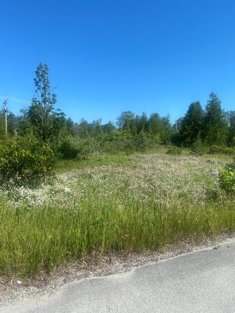 Hillcrest Road Sister Bay, WI 54234 - Photo 1 of 5